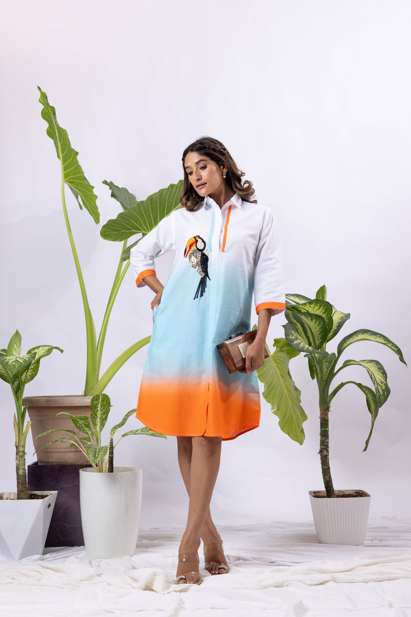 Toucan Ombré Shirt dress