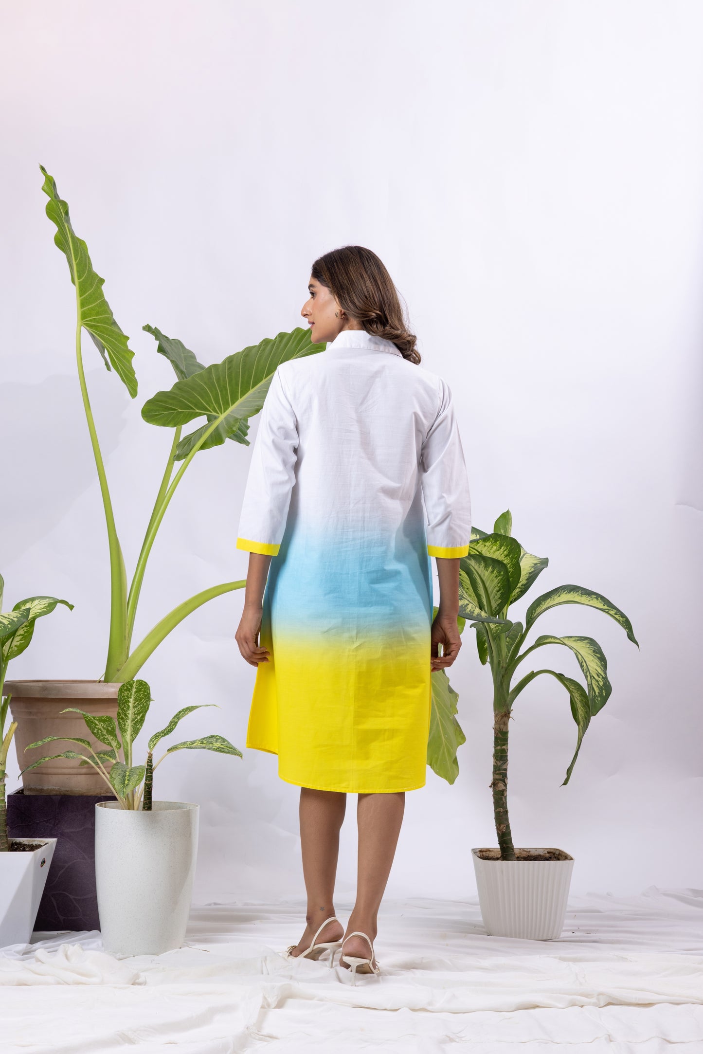 Ombre with 5 Butterflies