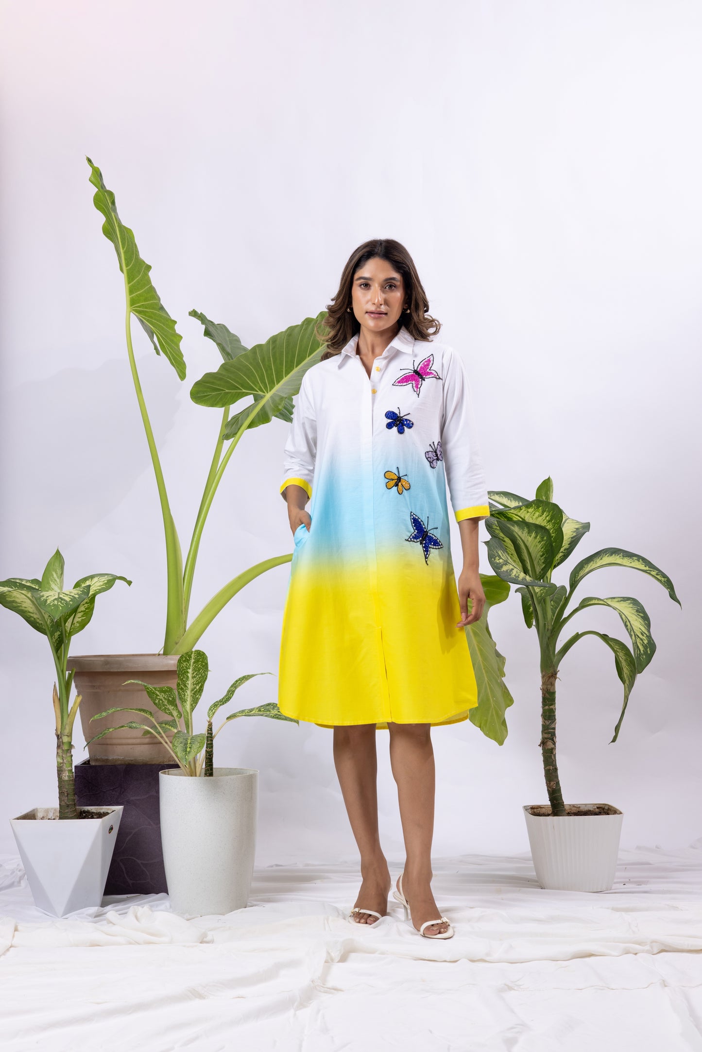 Ombre with 5 Butterflies