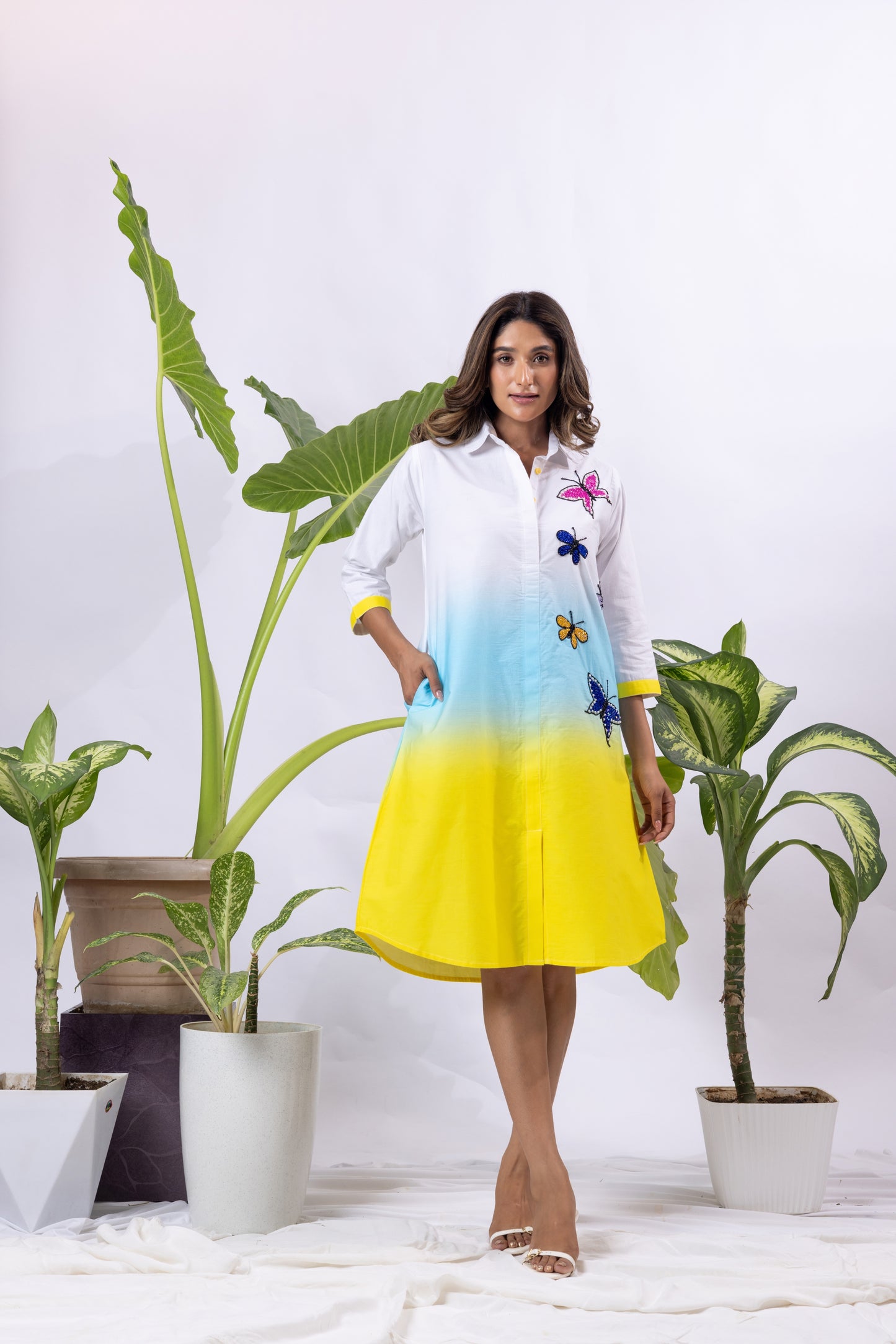 Ombre with 5 Butterflies