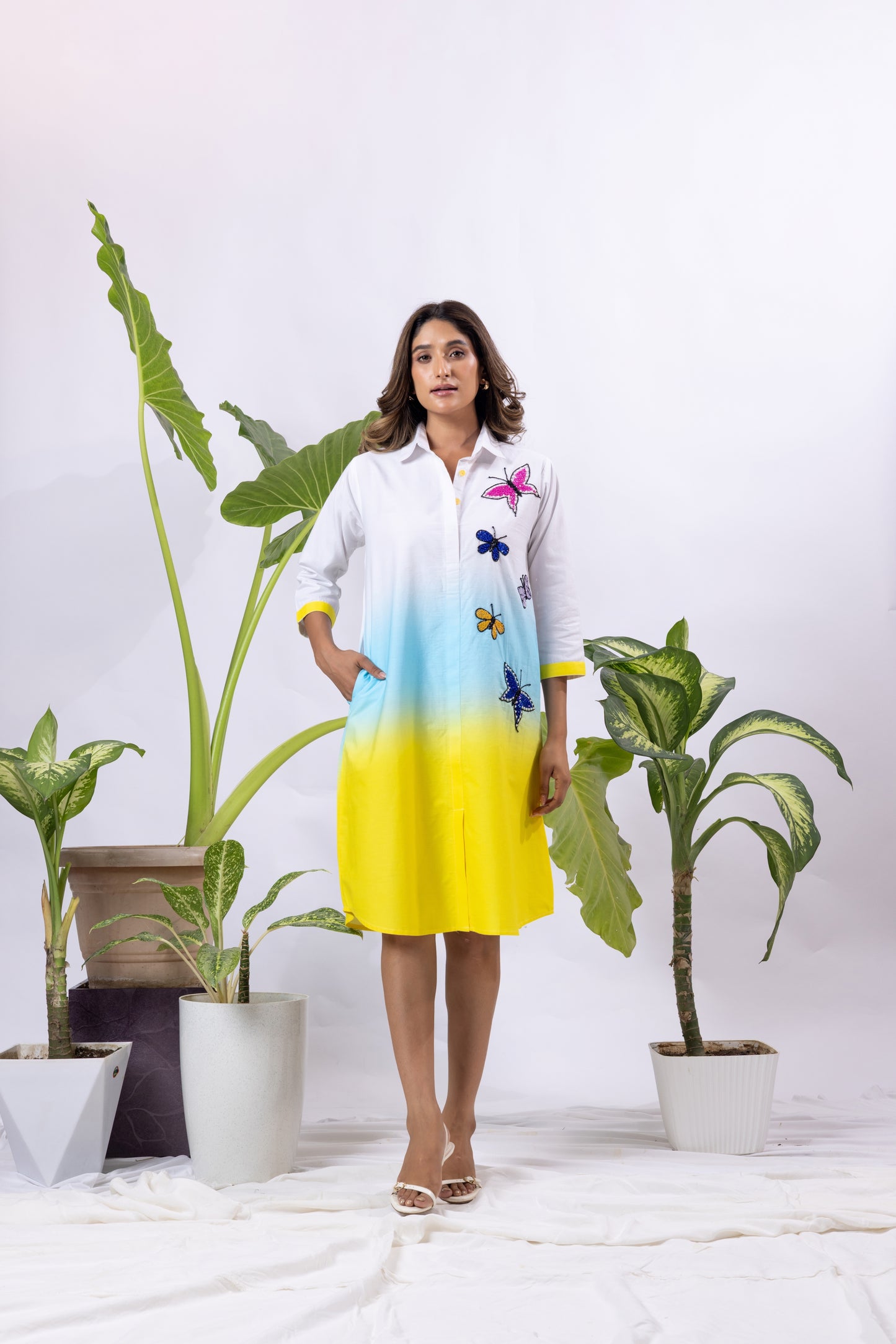 Ombre with 5 Butterflies