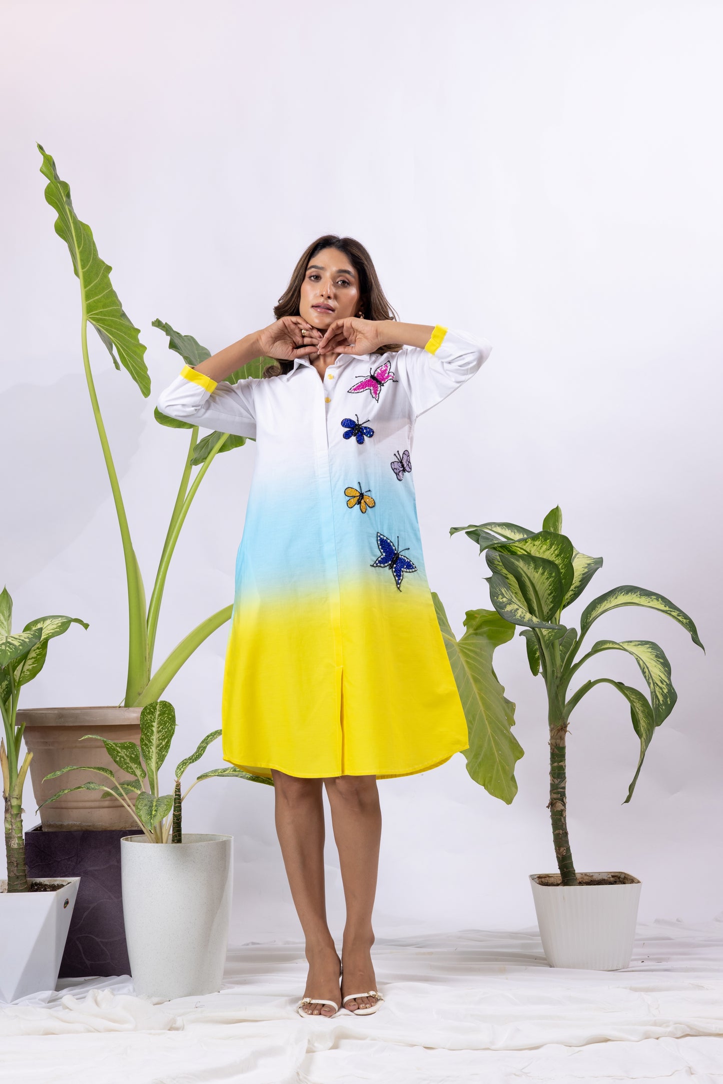 Ombre with 5 Butterflies