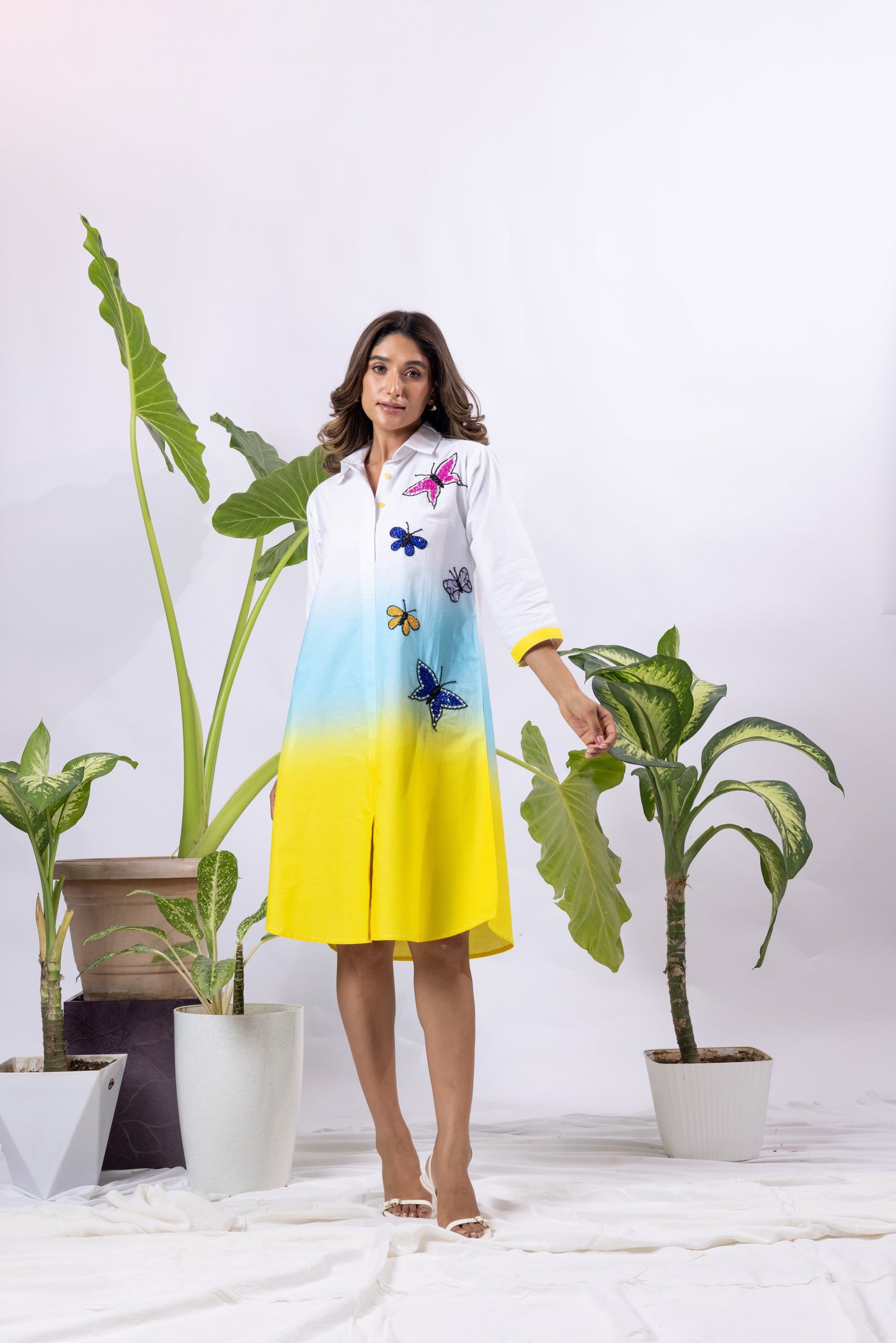 Ombre with 5 Butterflies