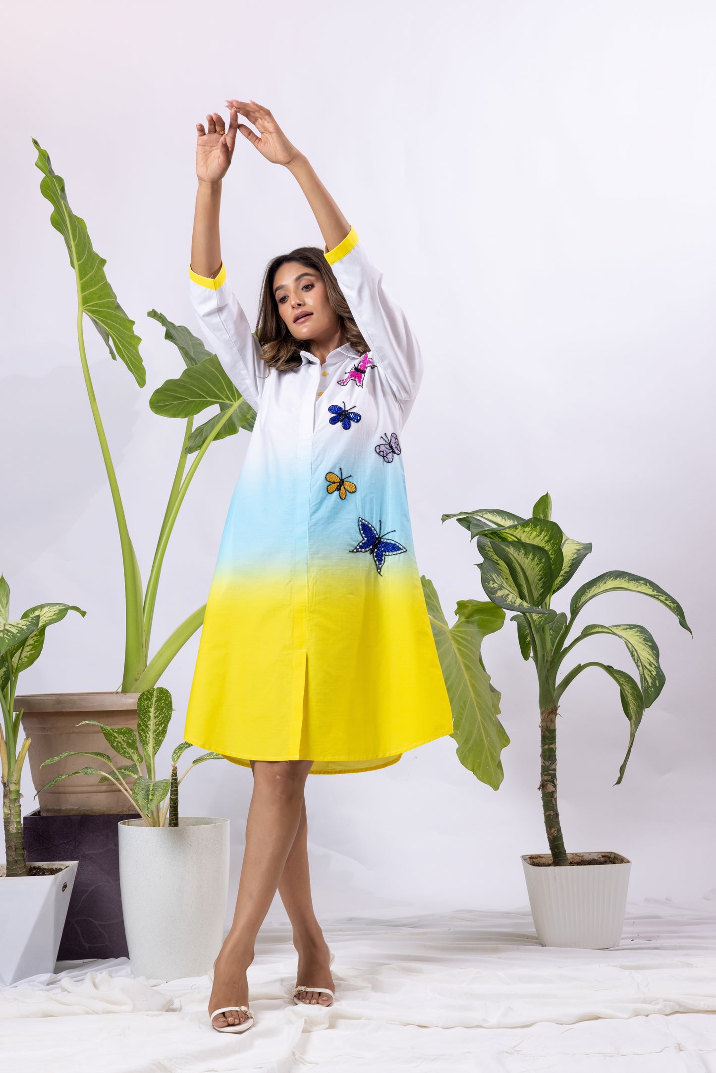 Ombre with 5 Butterflies