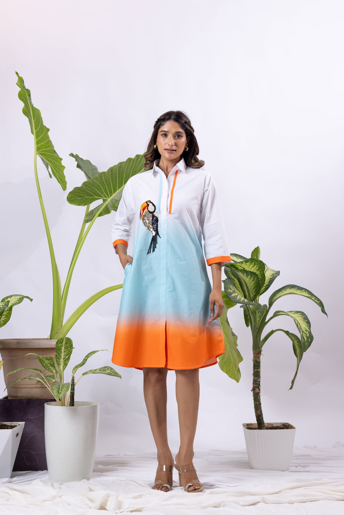 Toucan Ombré Shirt dress