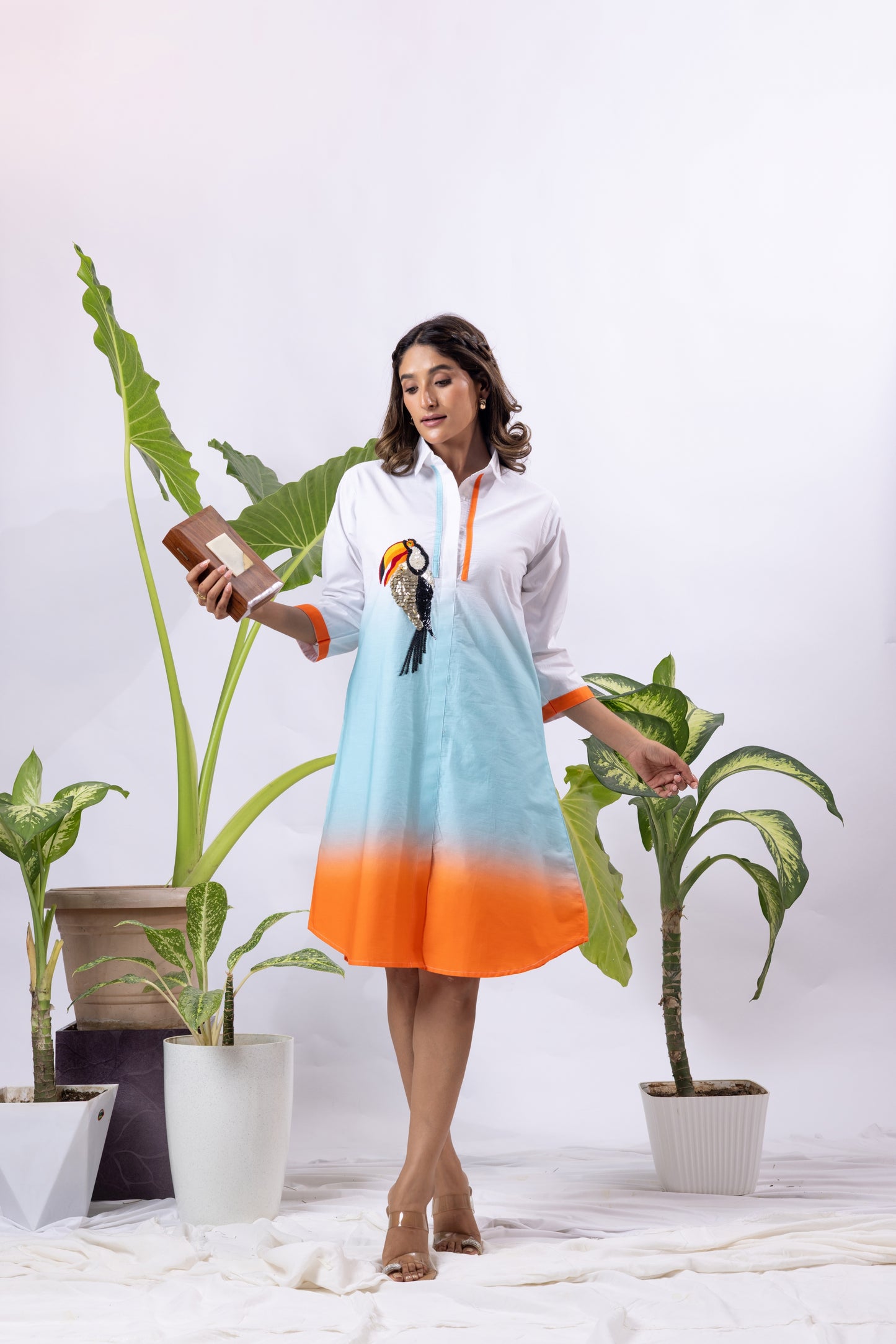 Toucan Ombré Shirt dress