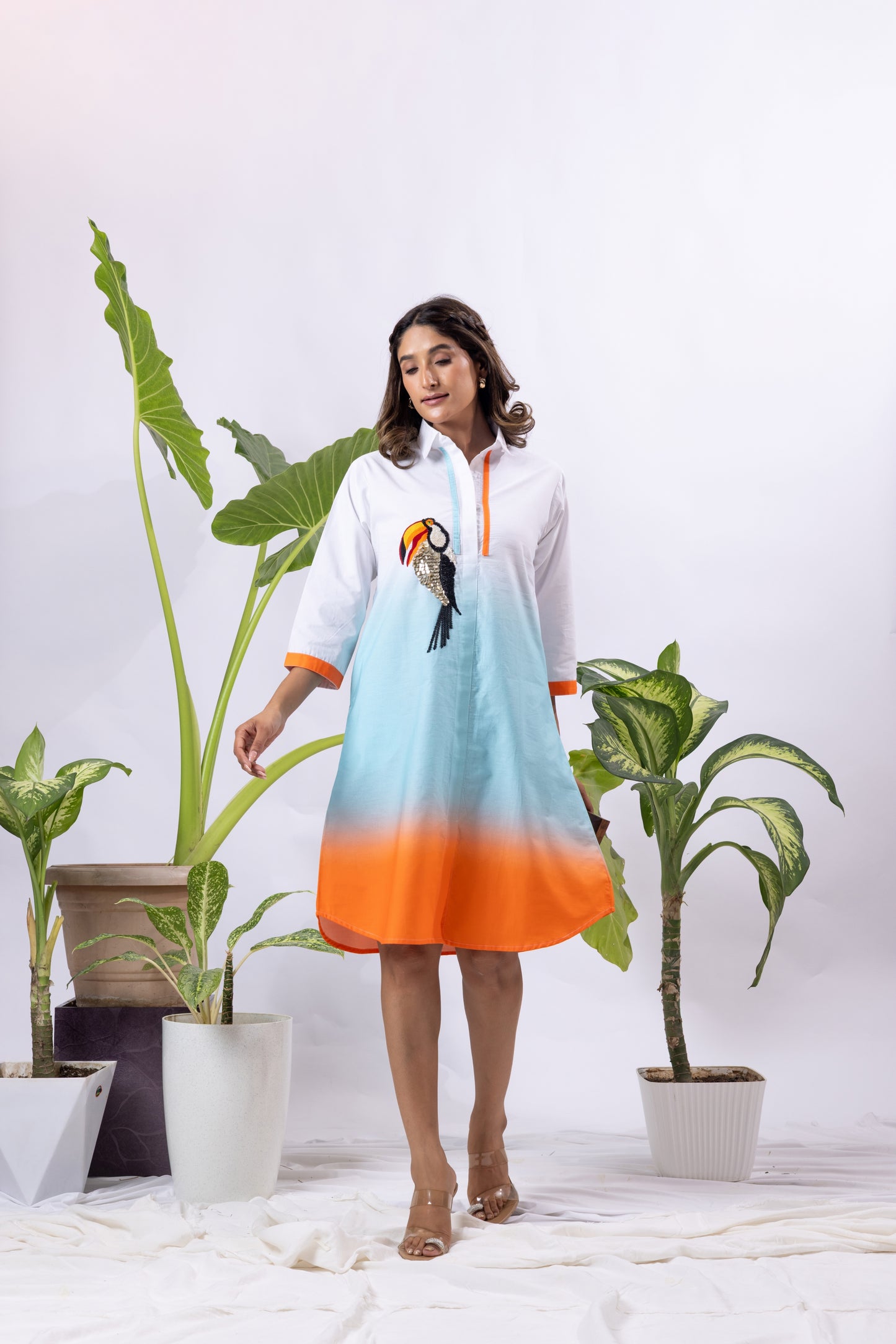 Toucan Ombré Shirt dress