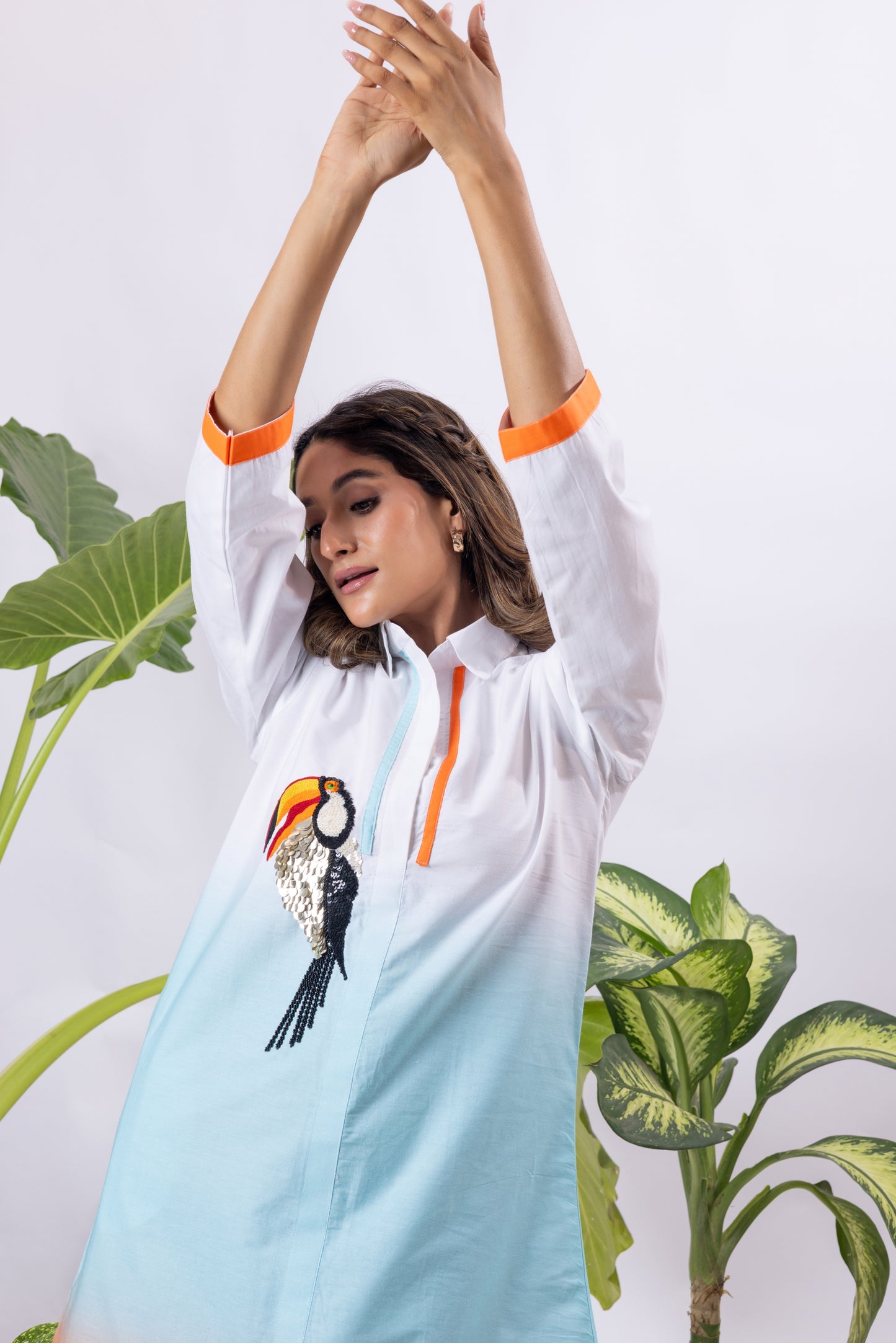 Toucan Ombré Shirt dress